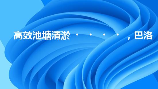 高效池塘清淤，巴洛仕設(shè)備助您一臂之力